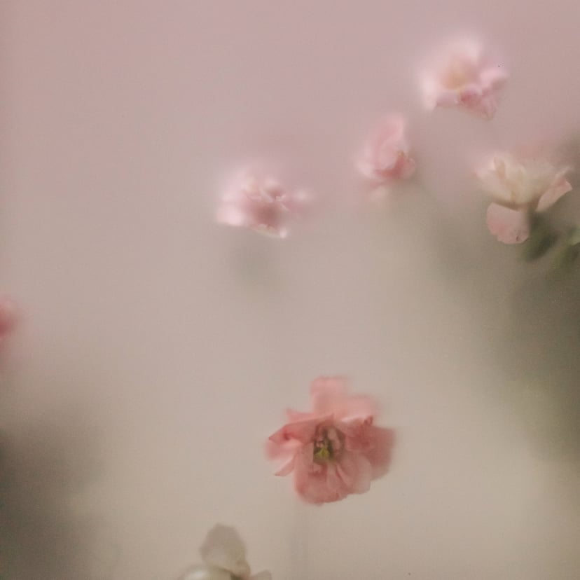 Piano Garden cover