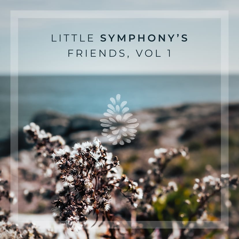 Little Symphony's Friends, Volume 1 cover