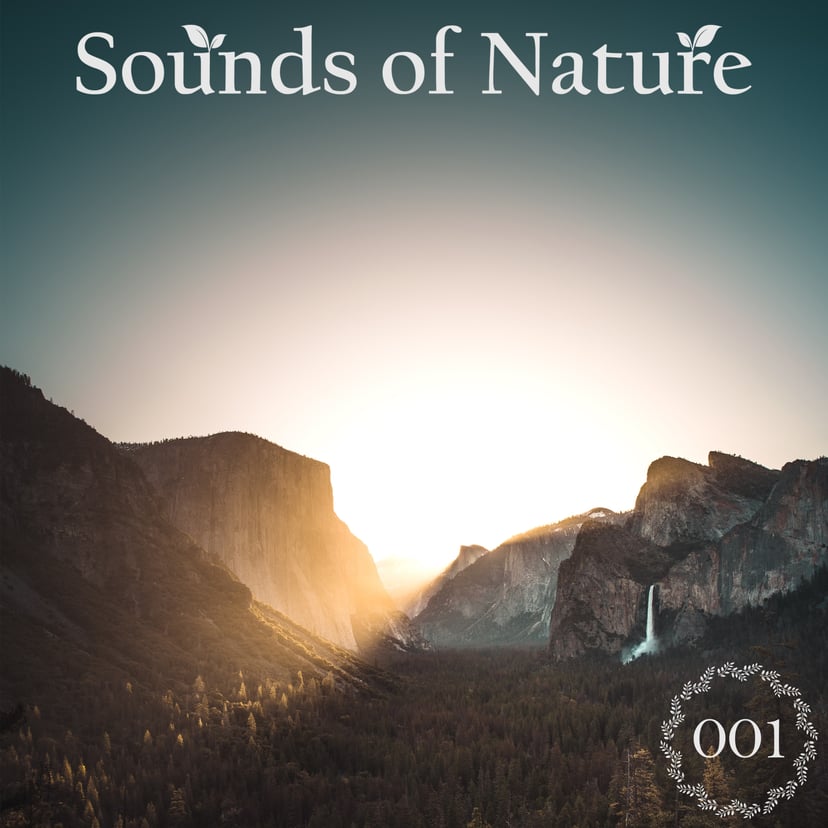 Sounds of Nature 001 cover